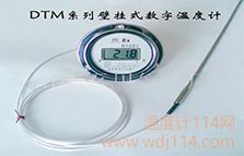 軟管連接數字溫度計