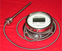 金屬軟管連接數字溫度計